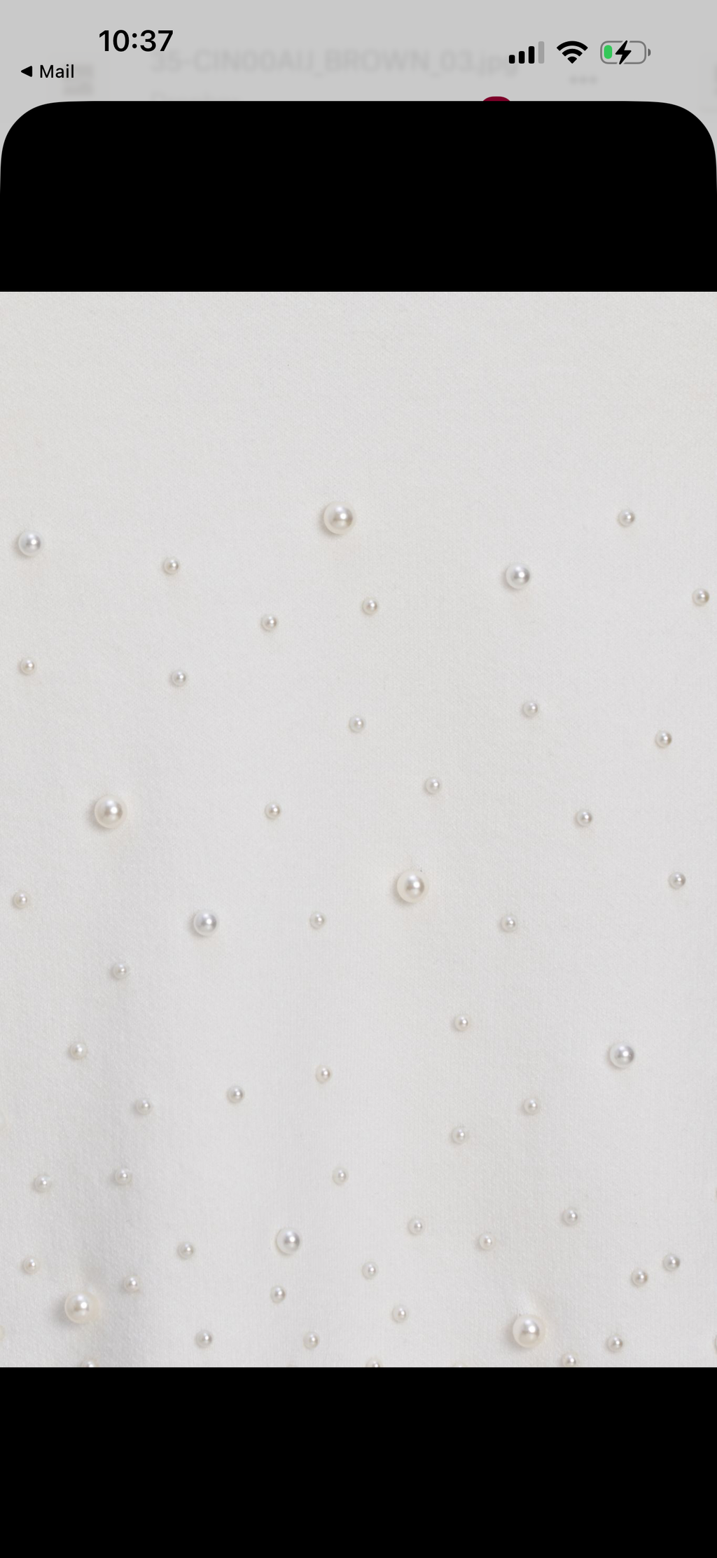 M Made in Italy Knit Skirt