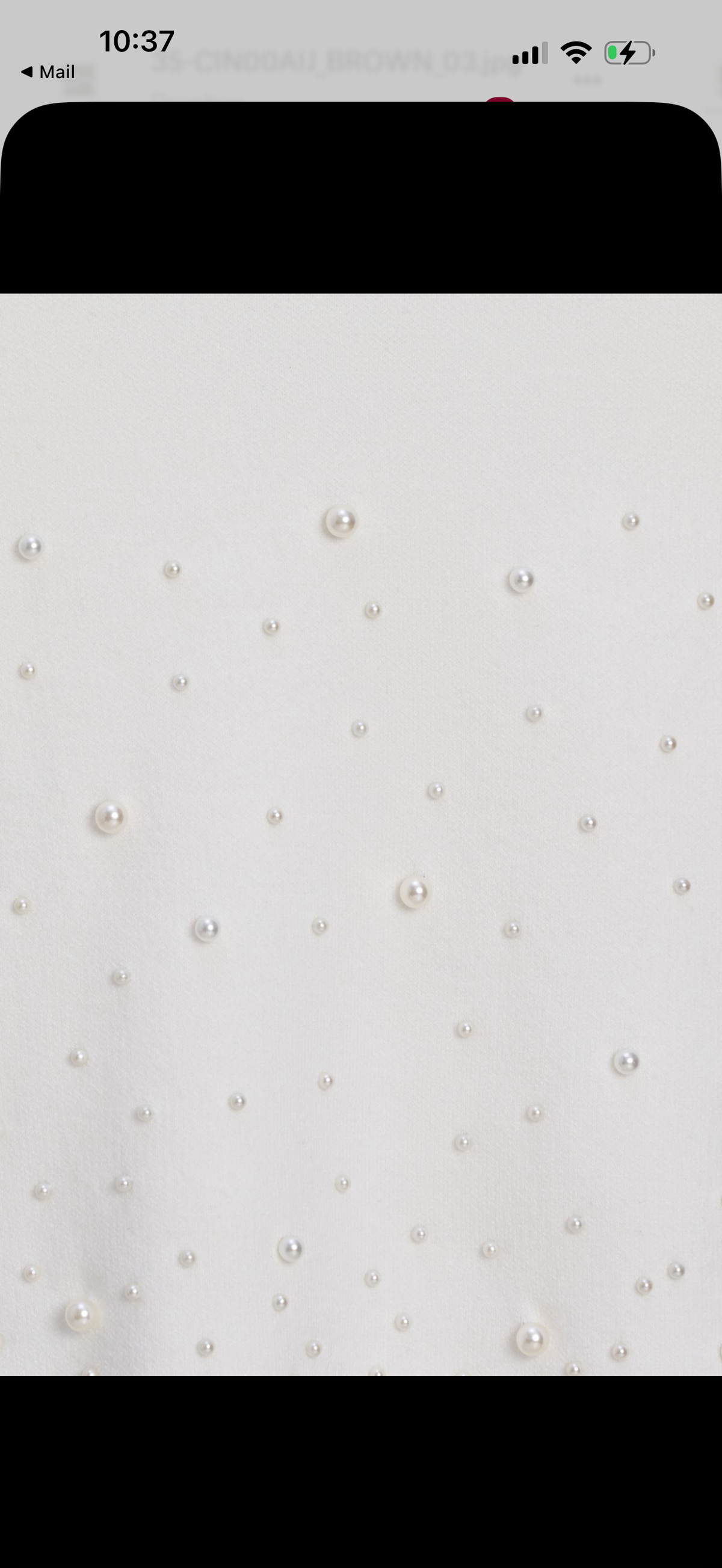M Made in Italy Knit Skirt